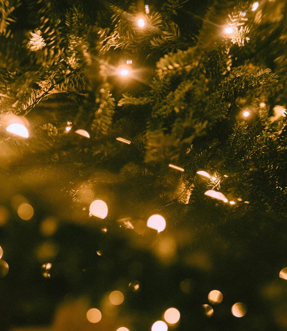 <span>Profitez de notre offre exceptionnelle</span>